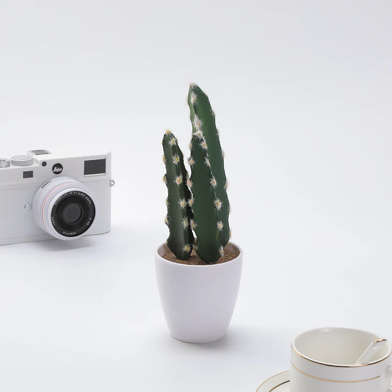 Potted Plants Living Room knick-knacks Desktop Green Plant Cactus Flower Simulation Succulent Decoration Interior Decoration