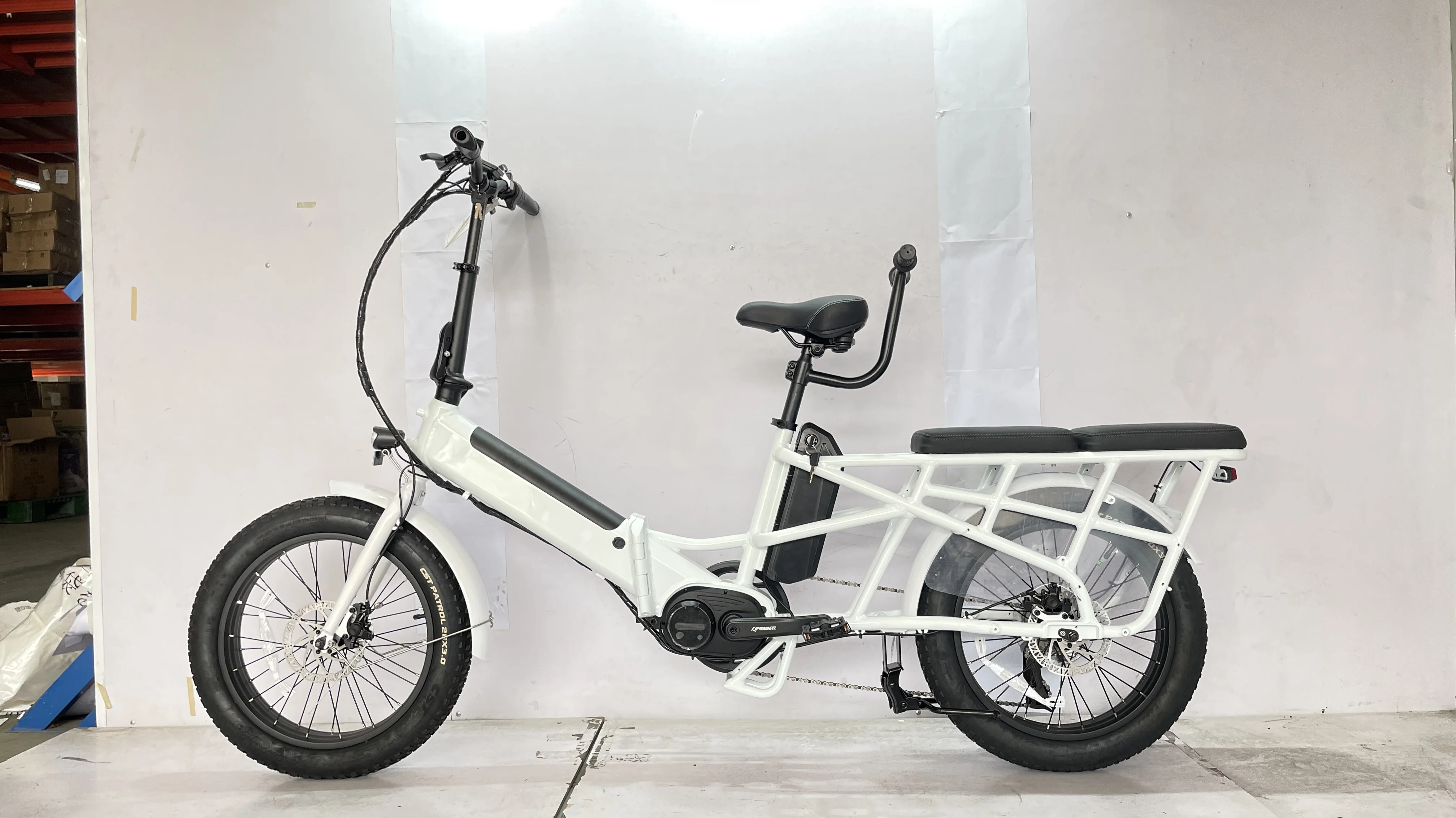 750w Double lithium battery adult ebike electric cargo bike delivery e-bike family bike