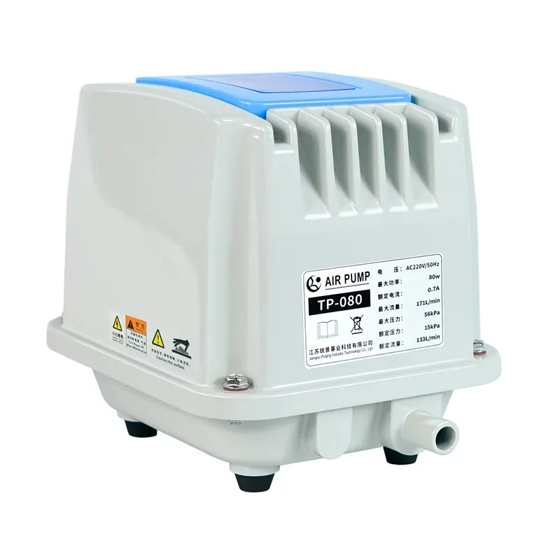 Ruijing TP-080 Electromagnetic Vacuum  pump 2 meter deep water used