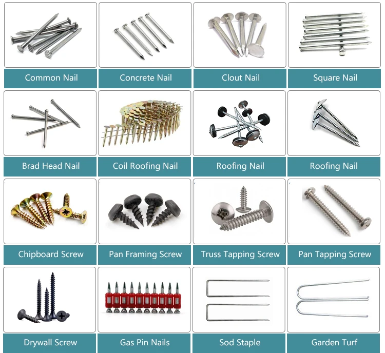 steel common wire nails