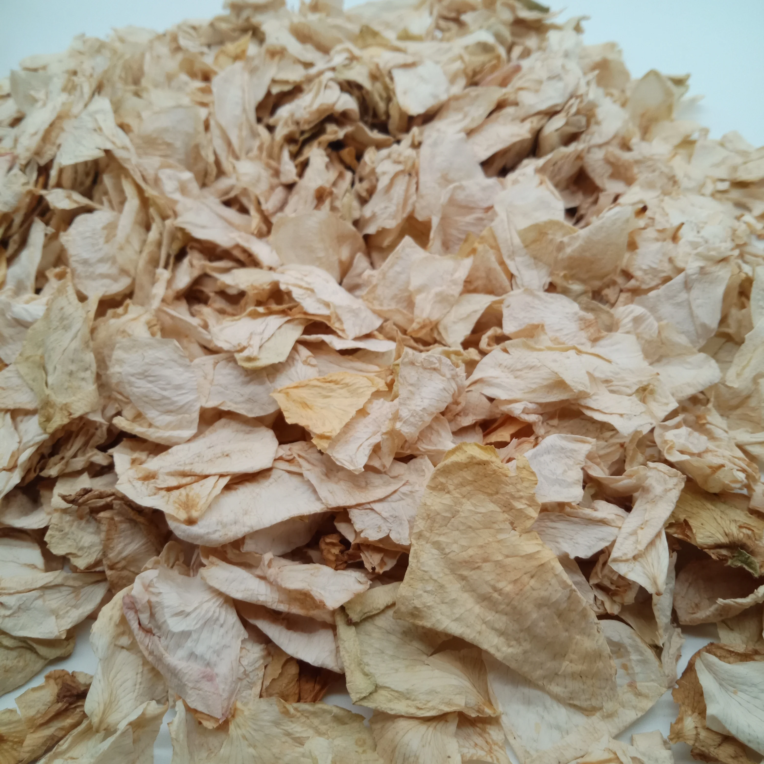 4015 Bai mei gui Wholesale high quality dried flower tea white rose