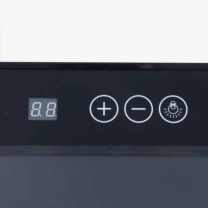 Private Brand Freestanding Wine Cellar Beverage Cooler with Glass Door Outdoor Electrical Cabinet Elegant Outdoor Refrigerator