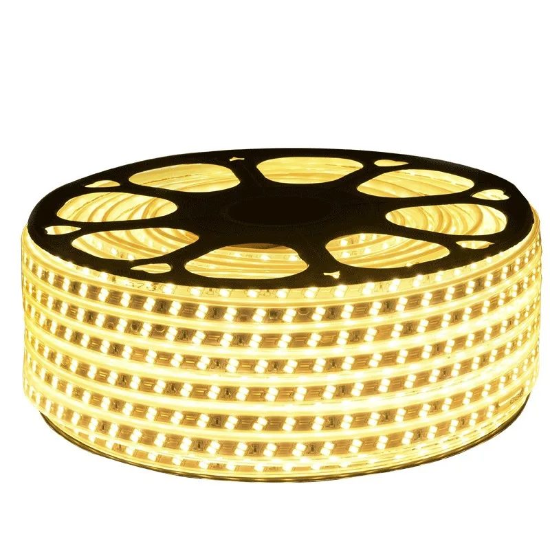 Commercial Building Outdoor Decoration Ip65 Waterproof Dc 12v 24v SMD 2835 LED Strip