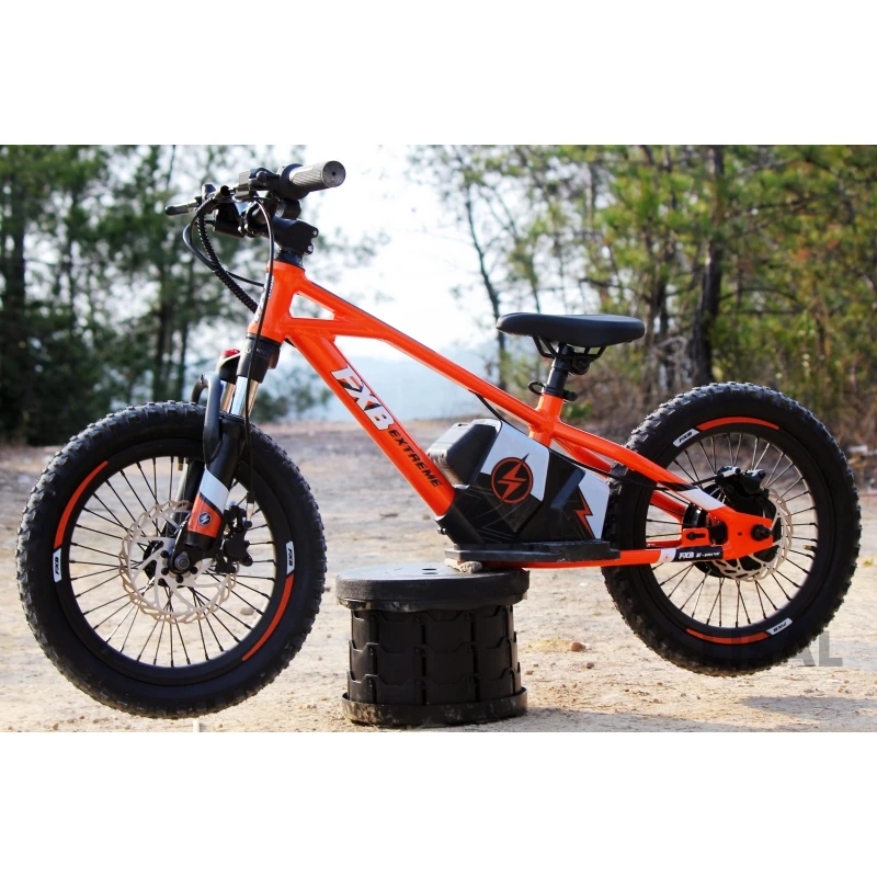 BMX Toddler 12 16 Inch Wheel Park Road Pump Track Race Cycle Girl Boy Baby Child Children Kids Balance Bike Electric