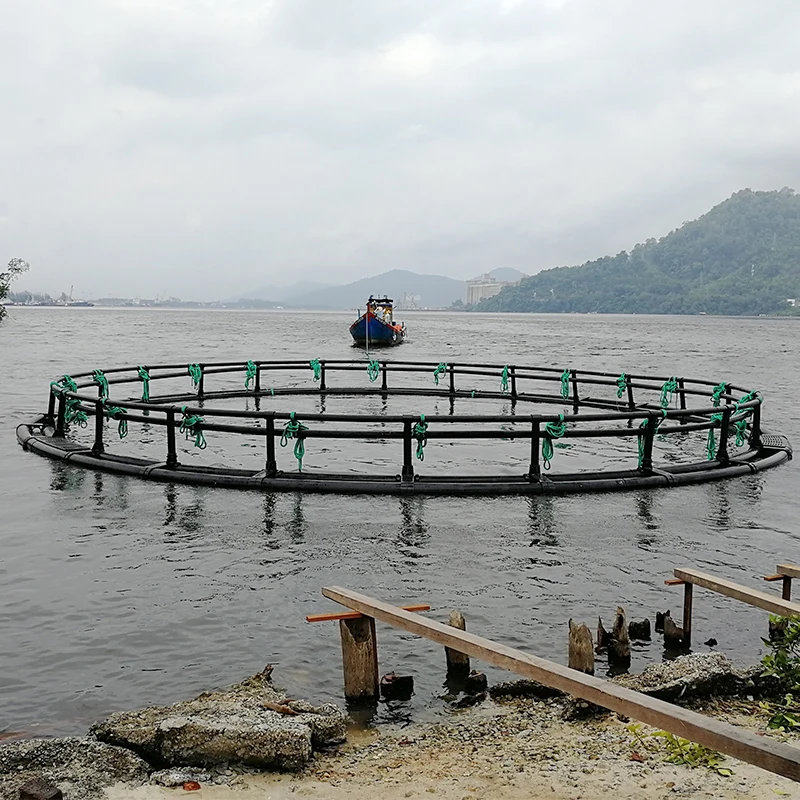 Инструменты для аквакультуры HDPE труба морской воды клетка разведения рыбы сеть-фонарь