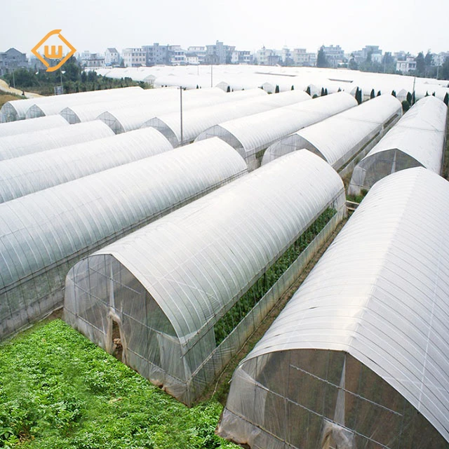 modern steel pipe tunnel tomato hook single span greenhouse structure polycarbonate commercial large green house