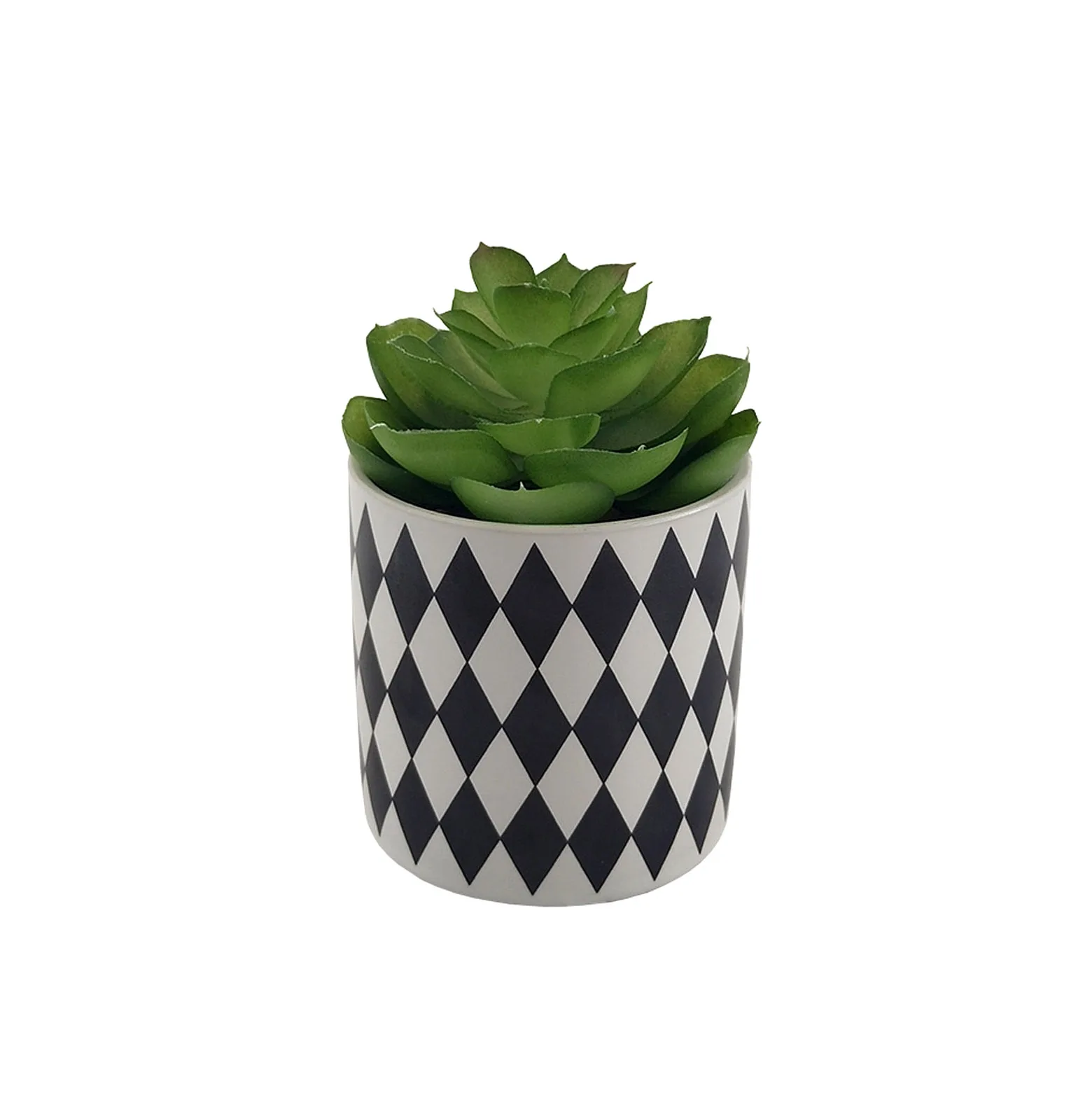 Brand New Whole Designer Wedding White Roses Orchids Weeding Decoration Decor  Plant Willow Flowers