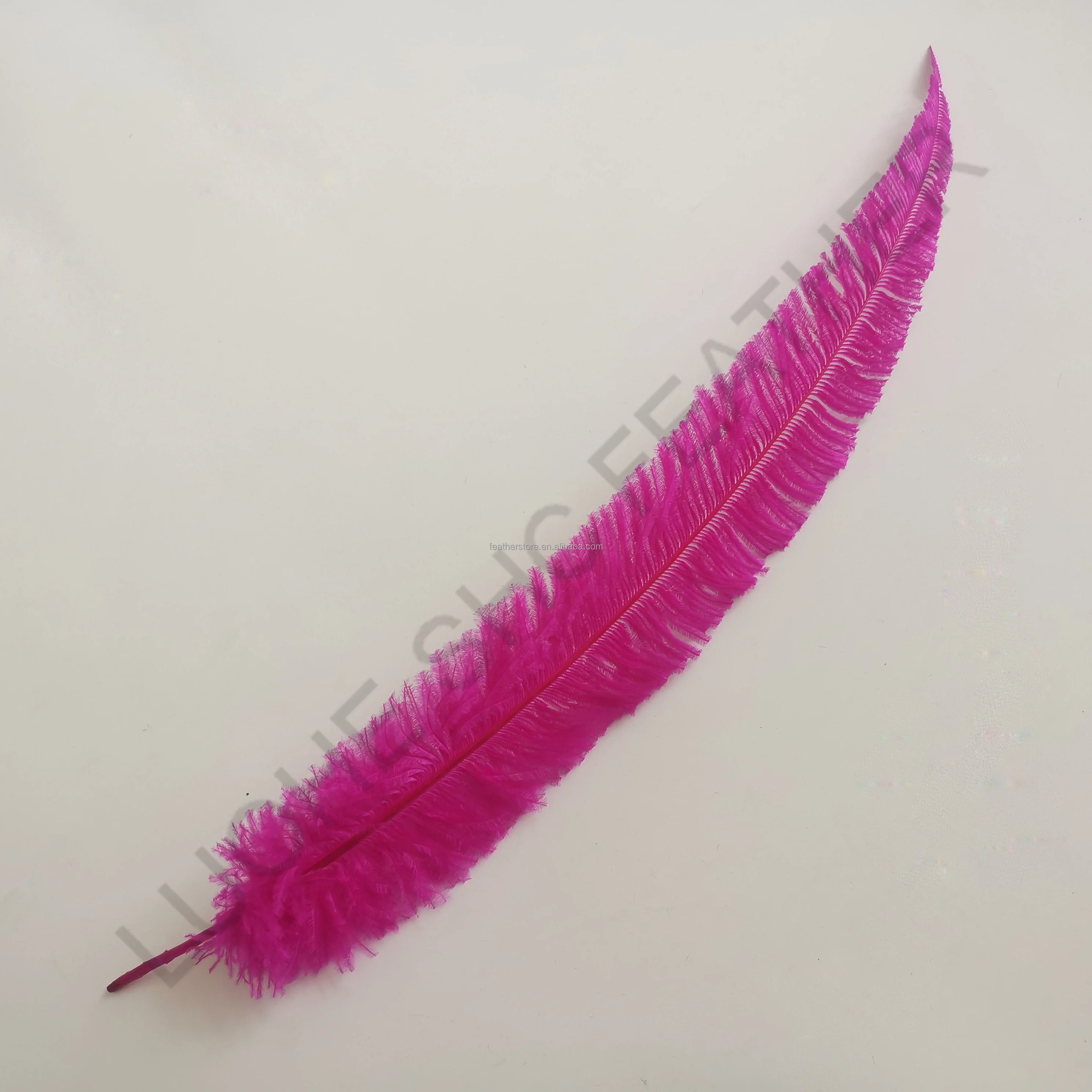 High Quality Ostrich Nandu Feather trimmed ostrich feather Any colors for cheap sale