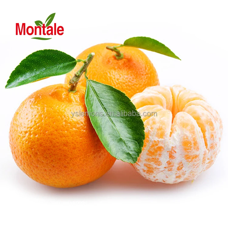 Montale Easy To Peel   Mandarin Summer Orange Citrus Fruits Fresh Oranges