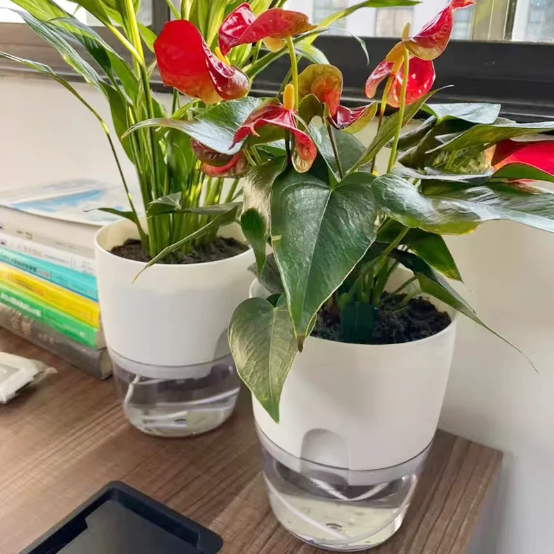 Transparent Plastic Flower Pot Self Absorbing Large Plant Pot Creative Double Layer Water Storage Lazy Automatic Green Planter