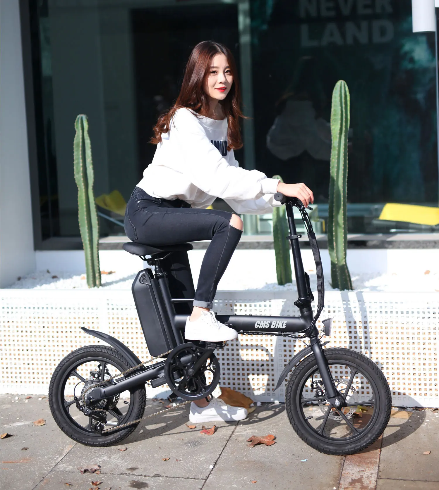 16 inch folding pedelec e-bike electric cheap bikes