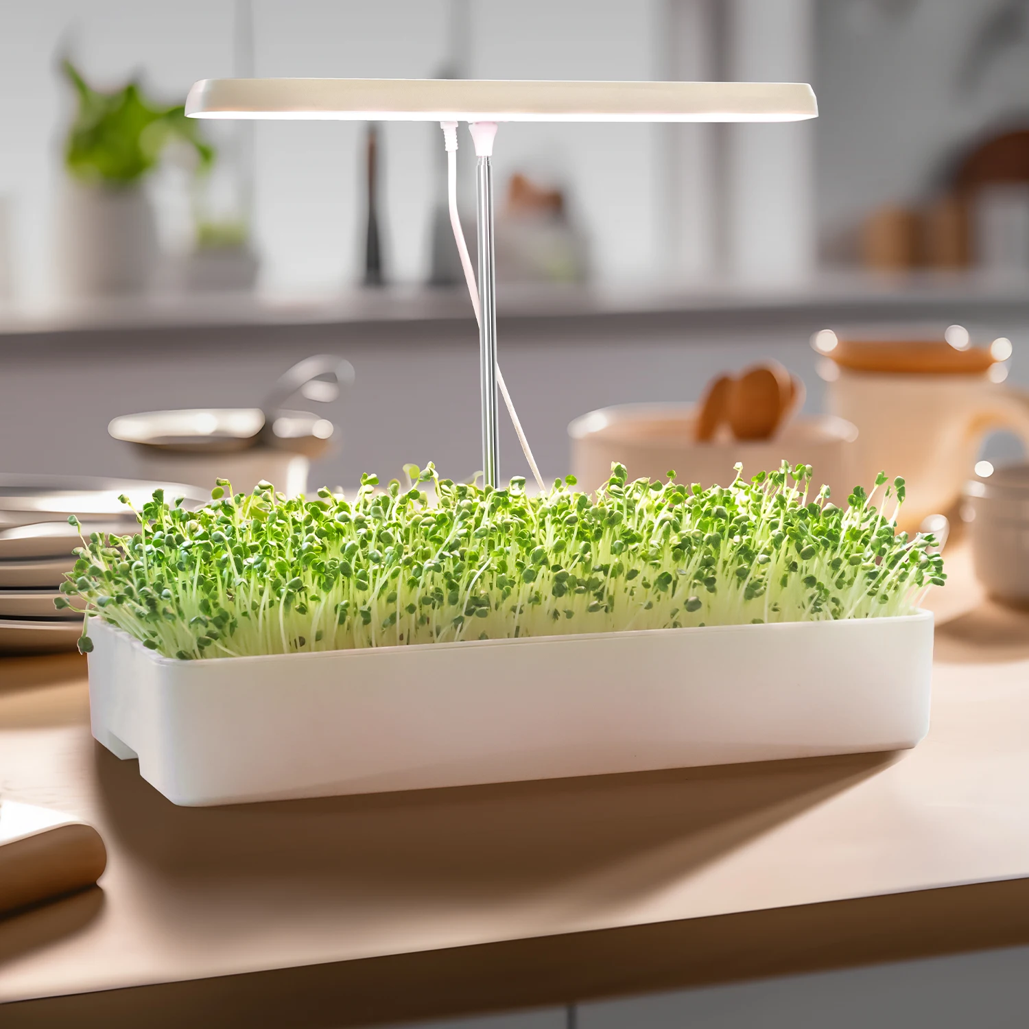 Microgreen seeds sprouting kit grow smart garden 3 herb garden for window planter box Soilless germination planting paper