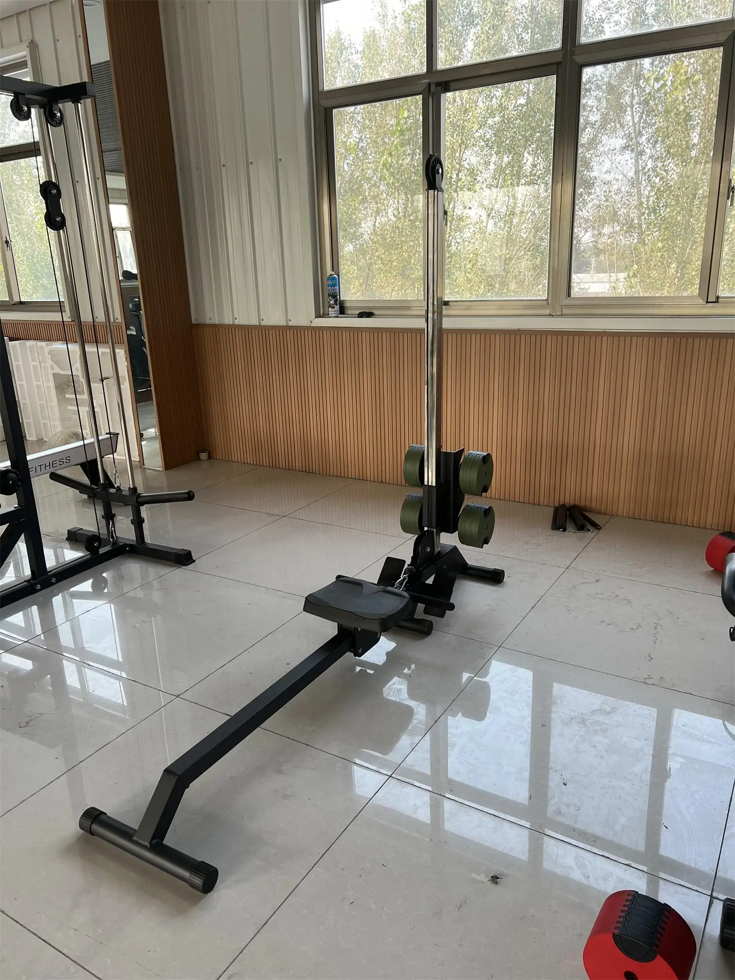 New Design Gym Equipment Fitnesss Dumbbells Rowing Machine for Home Exercise