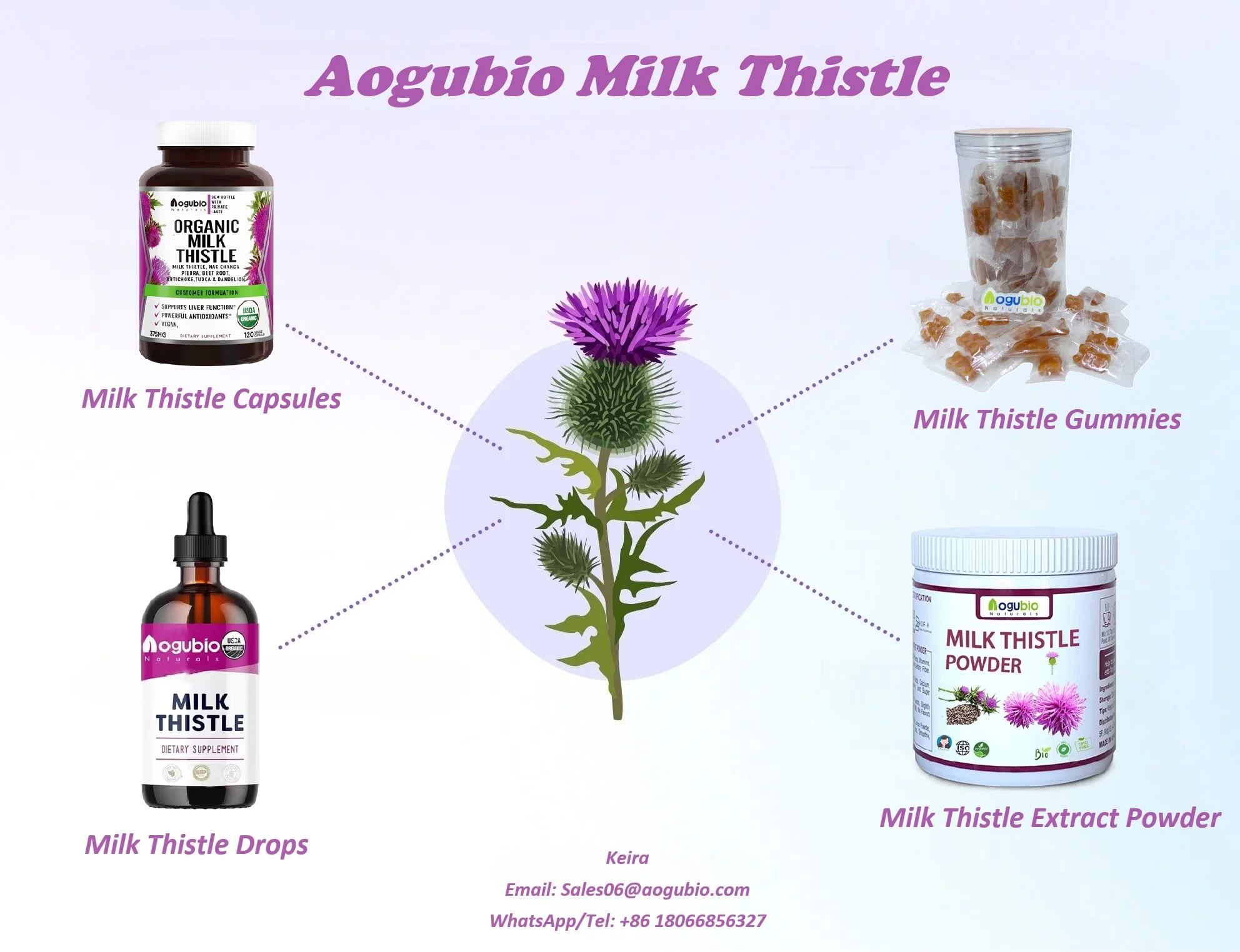 Aogubio Milk thistle extract capsule - Organic Milk thistle Supplement withMilk thistle extract capsule for Energy