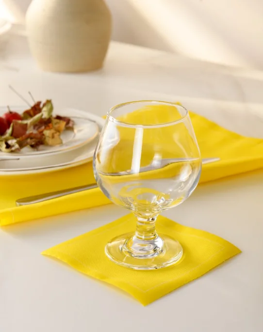 Table Cloth and Napkin Set and Coaster Unconventional New Patent Tear Off Napkin
