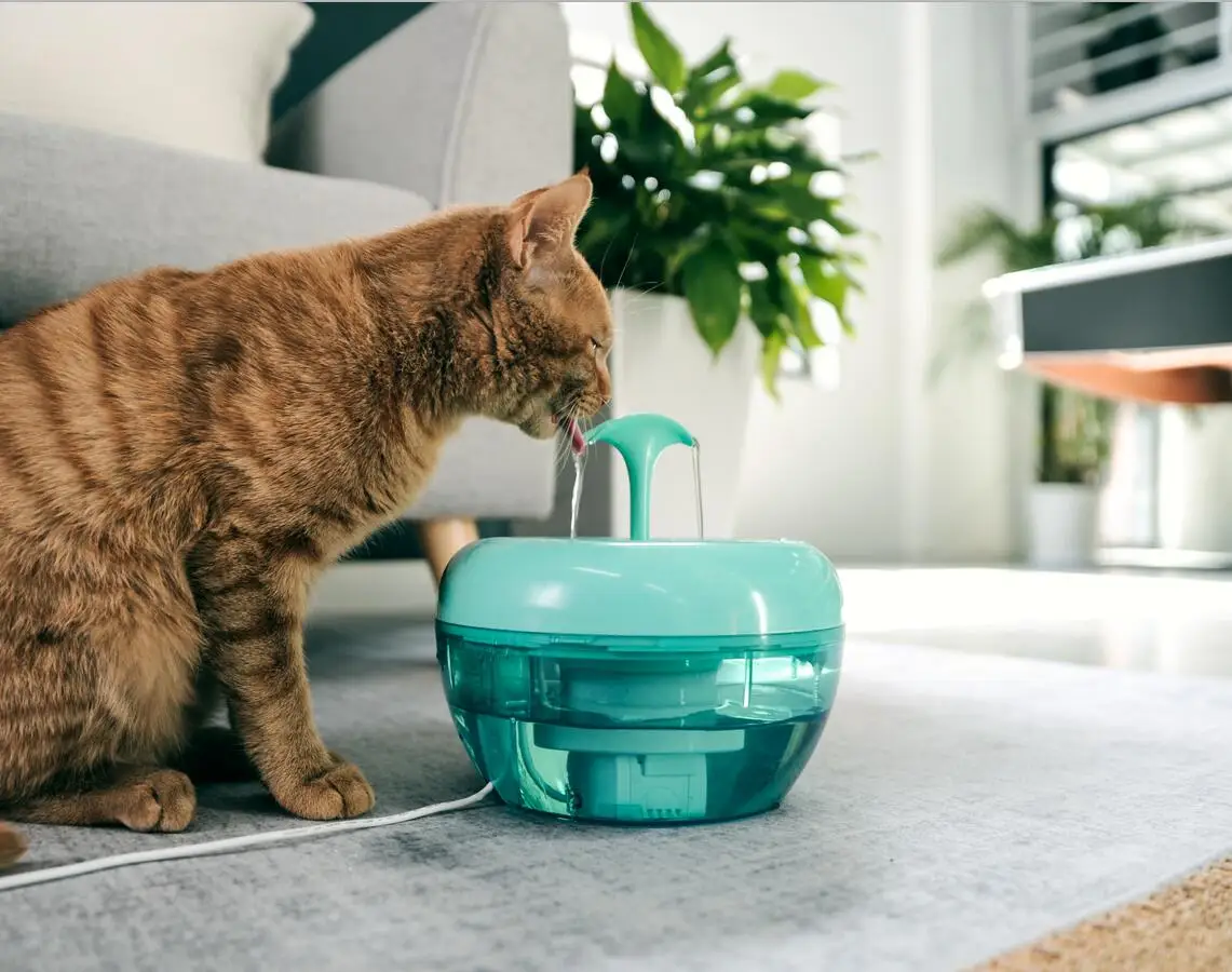 Pawoof cat drinking water fountain with a powerful 5 layer filter hot selling cat water drinking fountain five star kat fontein