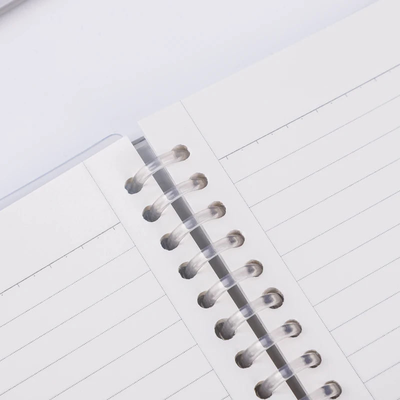 Пользовательский красочный A5/A6 мечтательная живопись пластиковая проволока-O розовый спиральный блокнот