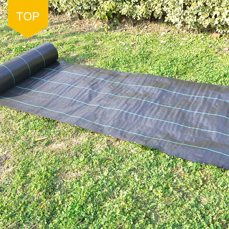 Top Quality Black Pp Permeable And Breathable Ground Cover Greenhouse Weed Control Mat