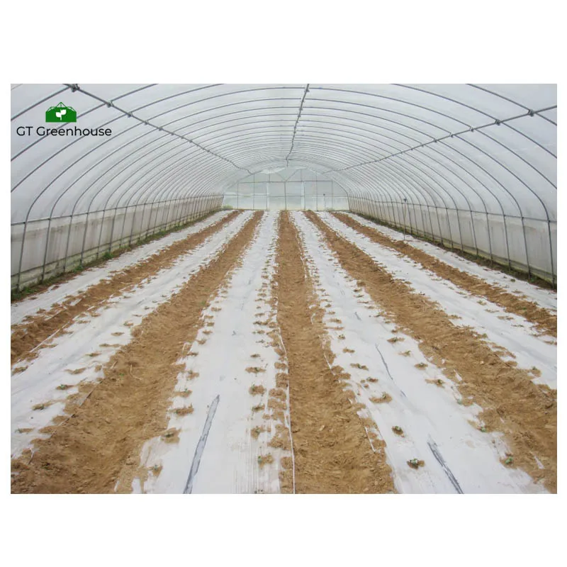 Agricultural product plastic house tunnel Greenhouse For Agriculture Invernaderos China