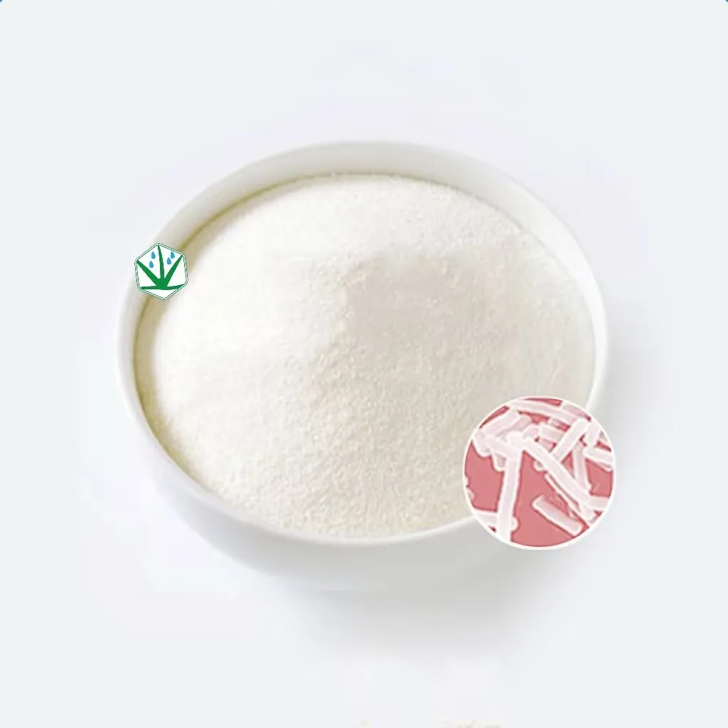 Lactobacillus plantarum-  Intestinal probiotics