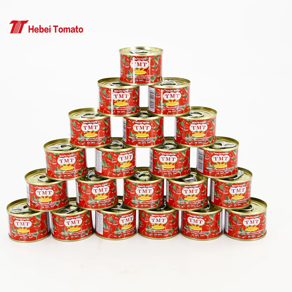 70g Pouch Al Mudhish Wholesale 70g*25*4 Sachet Tomato Paste to Yemen