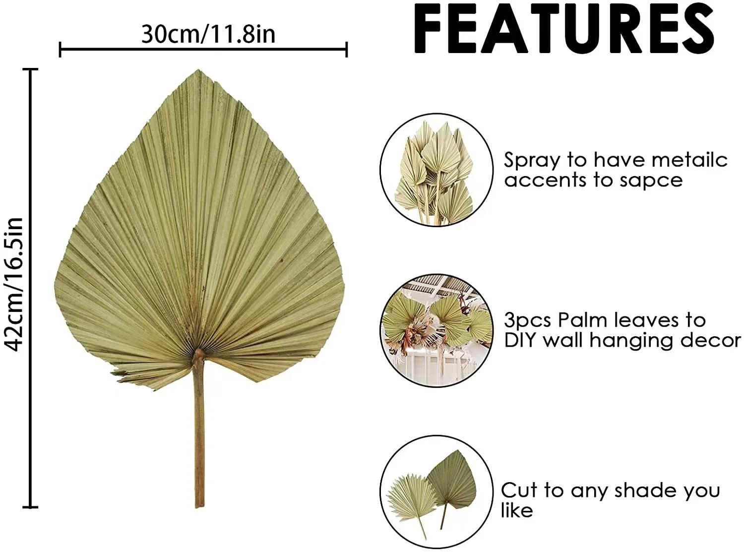 palm leaf fan  (98).jpg