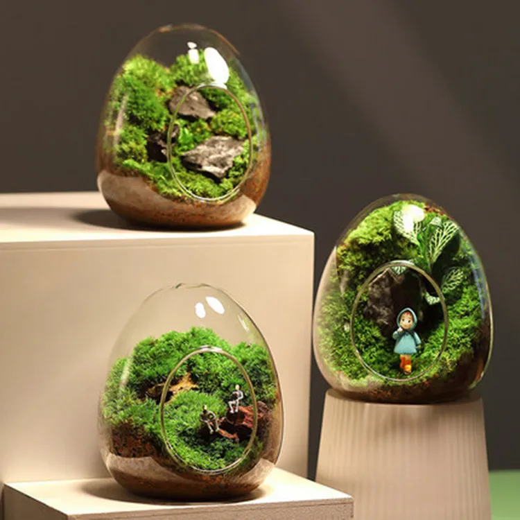 Wholesale Plant Propagation Vase Moss Glass Container Clear Handmade Micro Landscape Glass Egg Terrarium