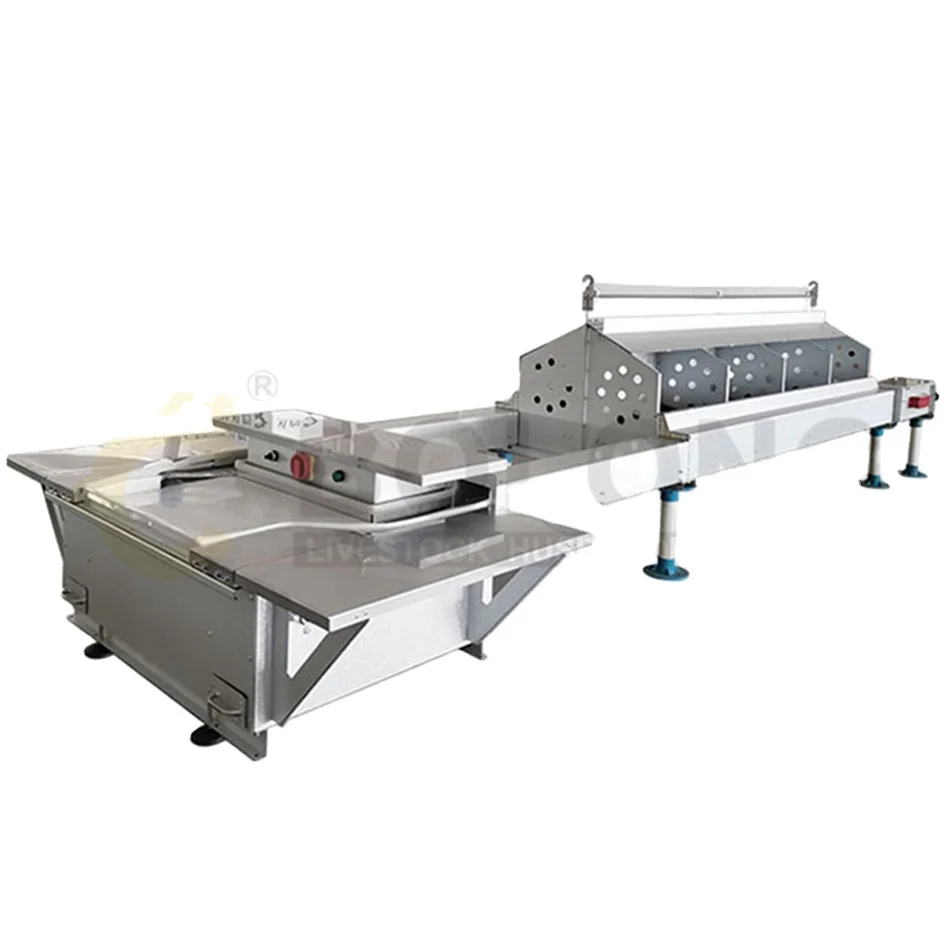 High quality automatic laying hen cages broiler poultry equipment cage free layer chicken feeder