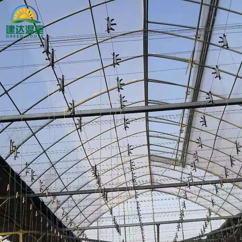 The best quality roof Film and side polycarbonate Greenhouses for tomato growing SUNSGH greenhouse made in china