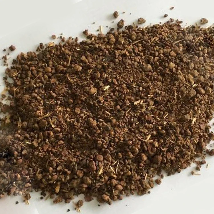 New Type Top Quality Professional Cheap Plant Powder Tea Seeds