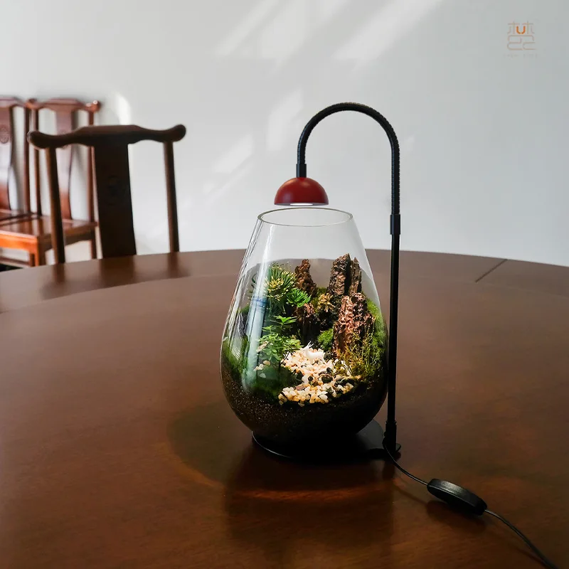 Лампа moss для растений