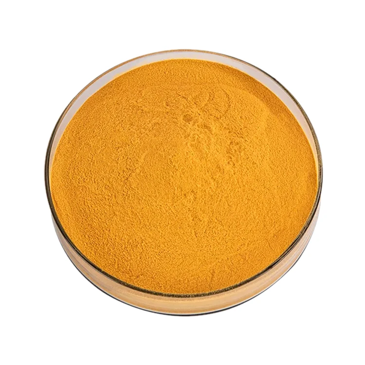 Top Quality Turmeric Root Extract 98% Curcumin Powder
