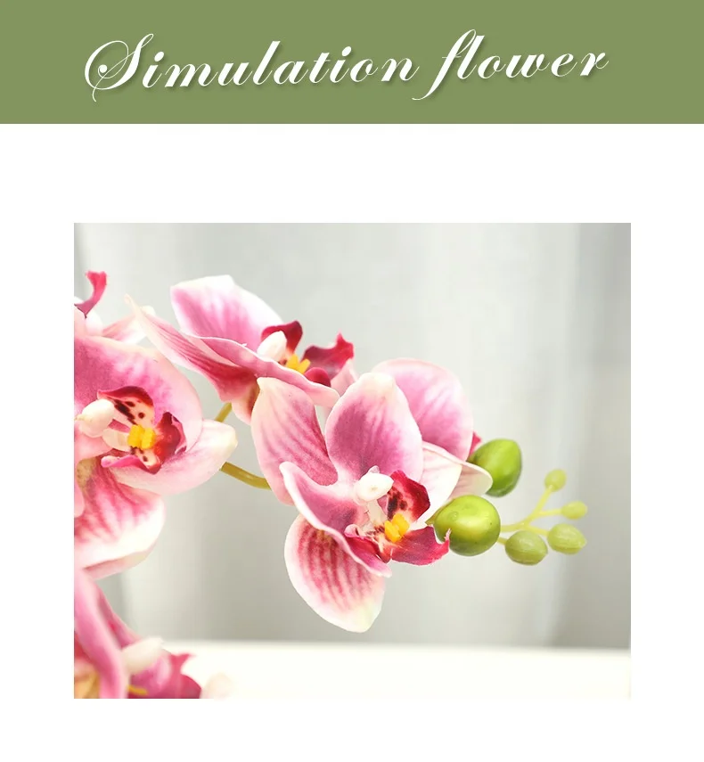 Manufacturers for home decoration living room decorations wedding celebrations Wholesale of 5 Phalaenopsis orchids