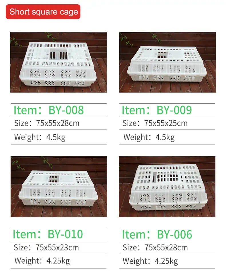 chicktransport crate (6)