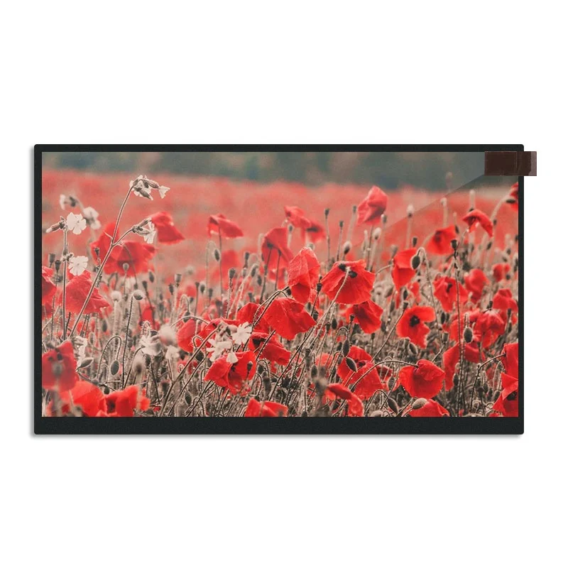 Оригинальный 10,1 дюймов 1280x800 BOE TV101WXM-NP1 Яркость 250 IPS eDP 30 контактов oled Мониторы ЖК-дисплей на основе тонкоплёночной технологии для игр экран
