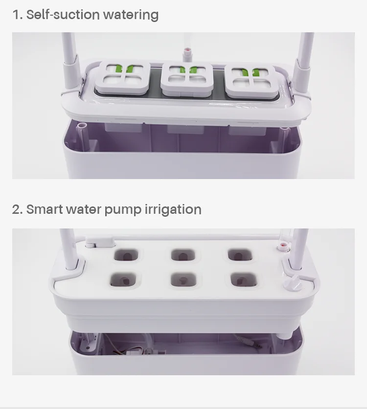 Hydroponic Box