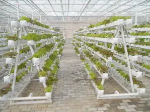 Multilayer Plant Rack Vertical Pipe Hydroponic Growing System for Greenhouse Planting