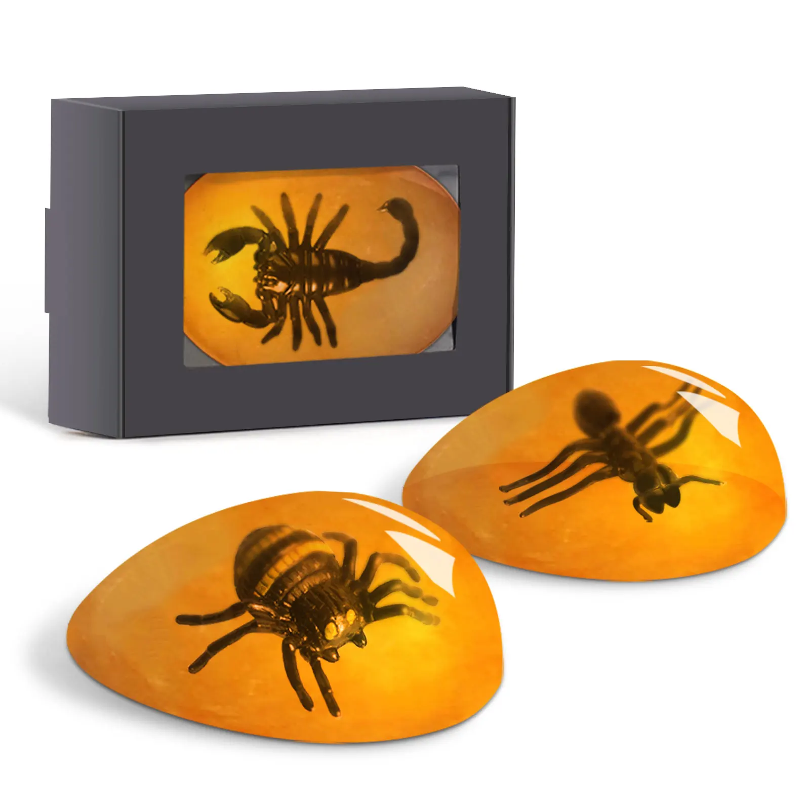 Wholesale Customize Logo science experiment toys amber soap Craft making Kit kids educational toys