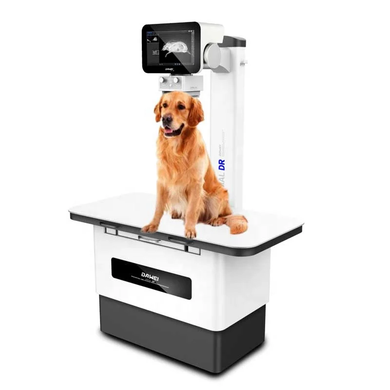 DAWEI Intelligent Adjustment of Exposure Veterinary Digital X-ray System