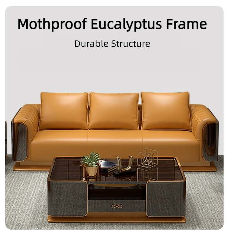 Luxury Living Room Sofa Set with Armrest Italian Style