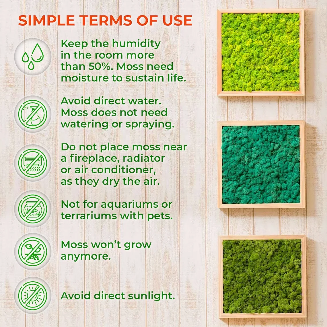 Yunnan Factory Wholesale Natural Bulk Reindeer Musgo Plants Preserved Moss Panel Stabilized Moss Art Wall Decoration