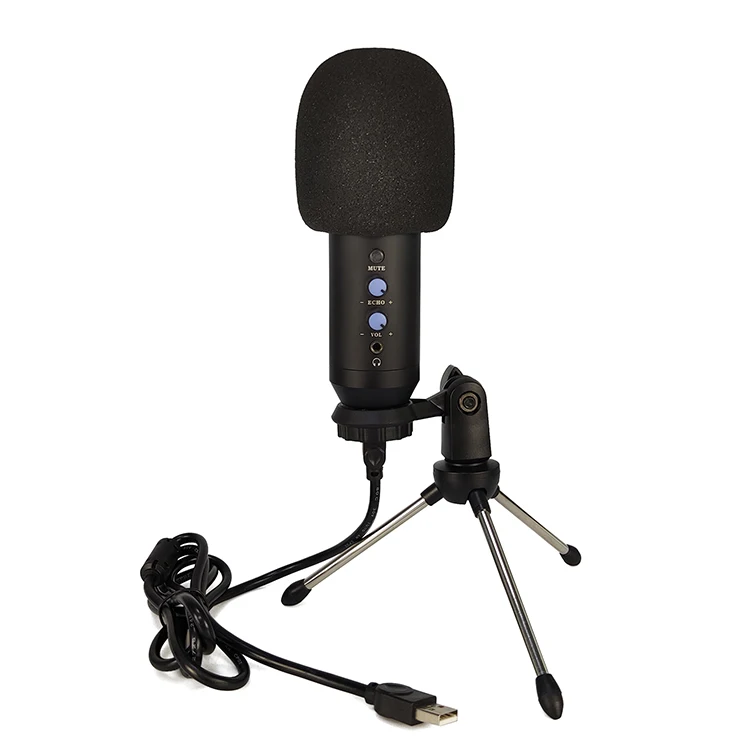 Usb Microphone for Zoom and Google Duo Phantom Microphone Soundking Microphone Recording Voice Over