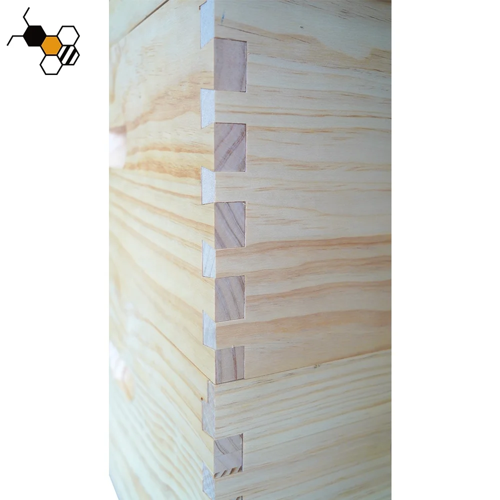 Australian Style Unassembled Honey Hive 20 Frames 2 Deep Bee Hive Boxes Kit China Fir Australian Beehive
