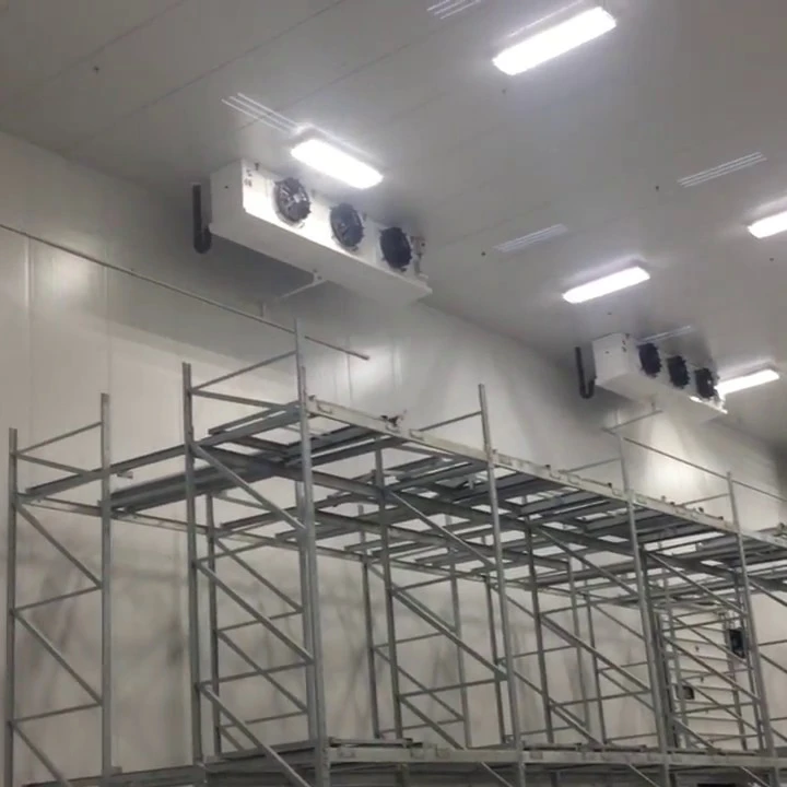 Solar power cool room kit, florist flower cooler cold store, glass door walk in fridge room