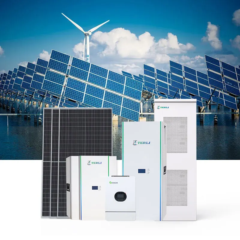 Terli 1.5kw 3kw 5kw Mini Solar Power System Portable Home 1500w 3000w 5000w Solar Energy Panel System Camping Comercial Use