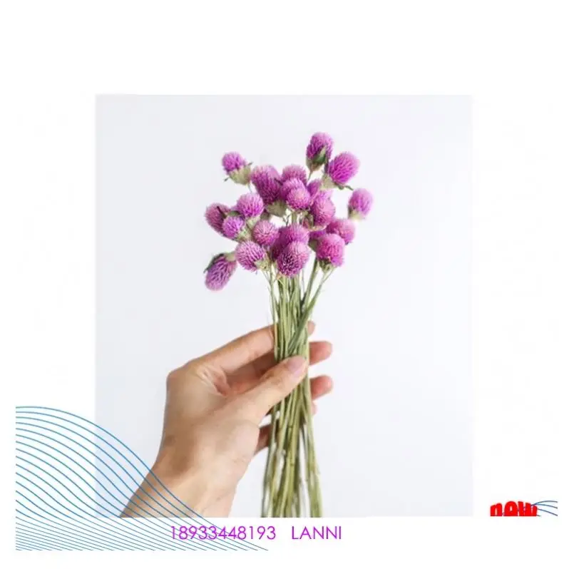 Yunnan factory supply wholesale natural rose flower preserved florist