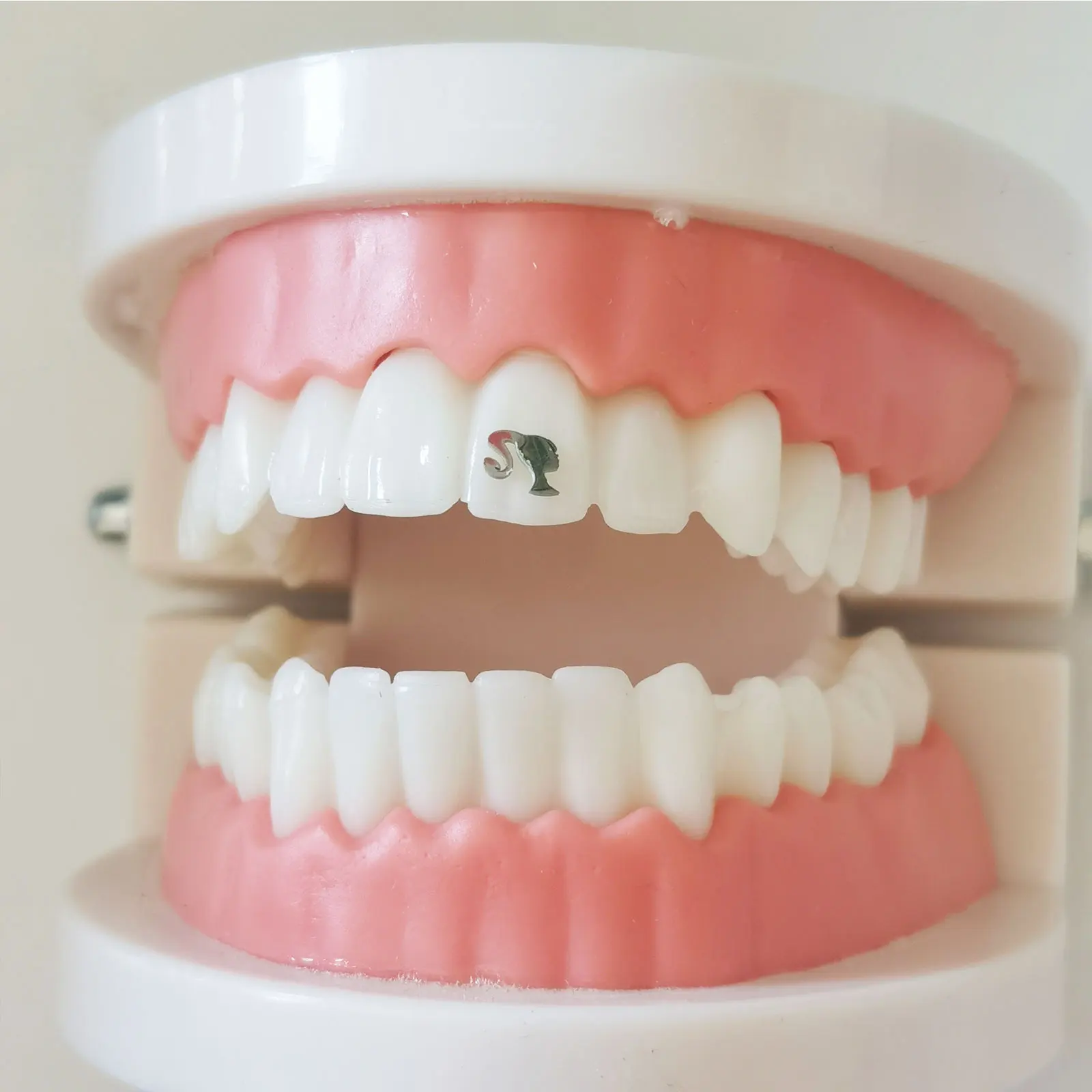 Hot selling 4 PCs  Medical pure titanium Tooth gems five leaf slover  teeth jewelry Best selling Teeth gems