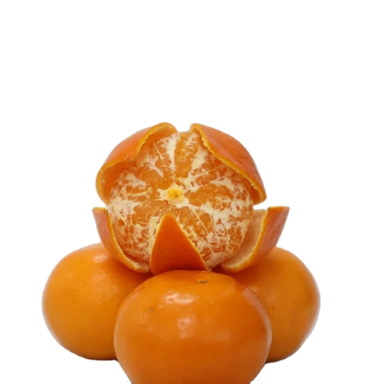 
Natural High Quality sweet juicy and Fresh citrus size 70/75/80/85# Mandarin Orange 