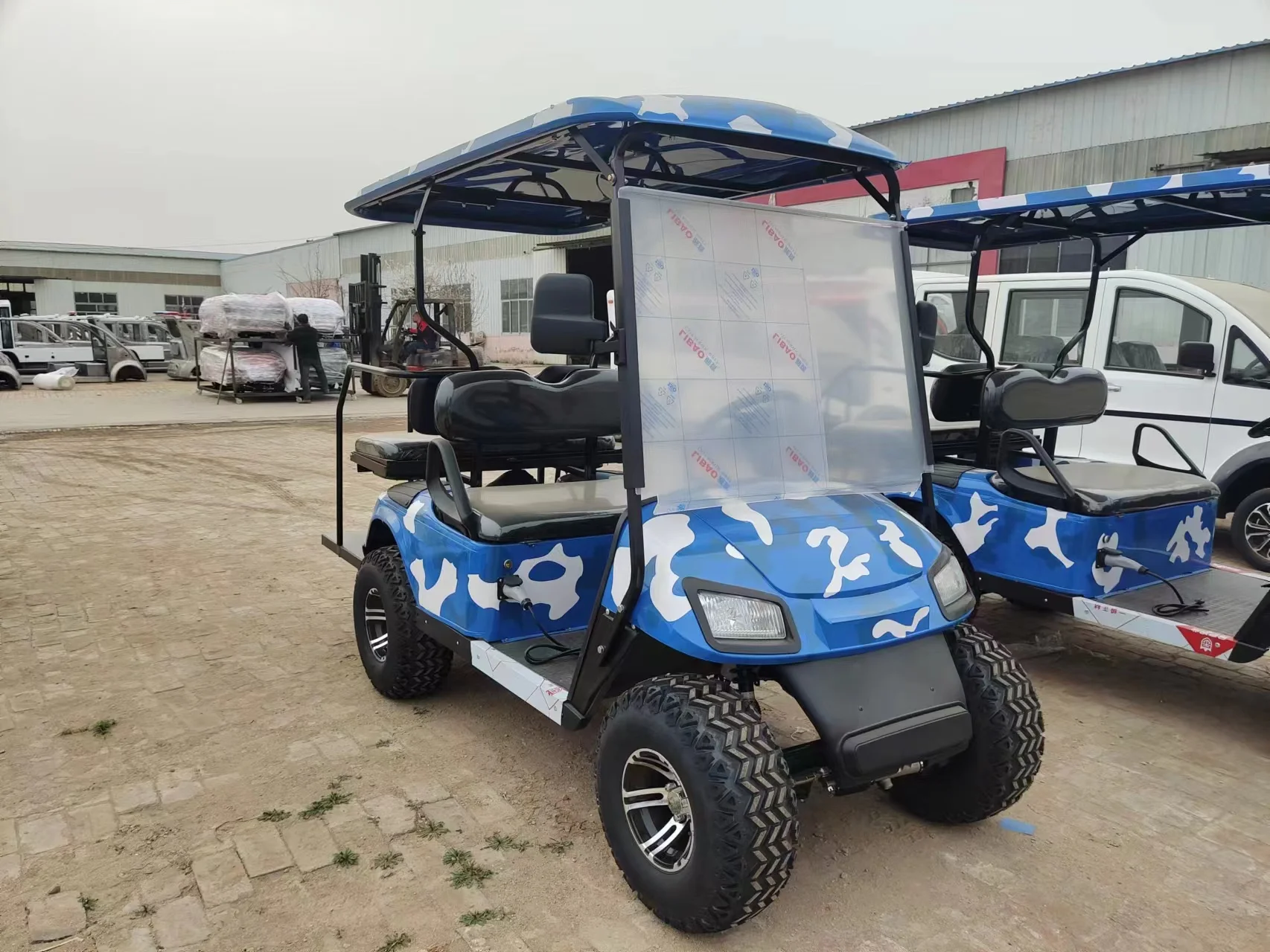 Greenmotor high quality Electric Golf Cart A6 2 Seats 4 Passengers Golf Buggy