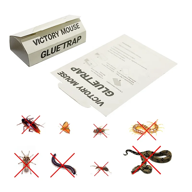 Non-Toxic Strong Stickiness Rat Trap Glue Board, Rat Mouse Glue Traps, Rat Killer Glue Trap